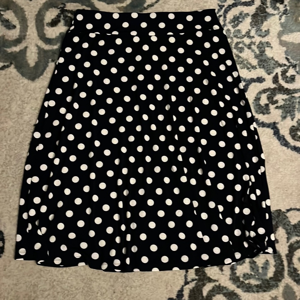 NWT Christopher & Banks skirt